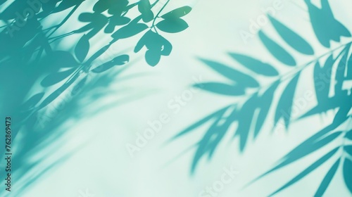 A serene background with the shadow of leaves on light blue and green, creating an abstract and calming effect. The soft focus adds to its tranquil ambiance.