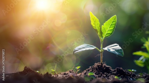 Young plant growing From the ground in the sun on a blurred background. generative AI image