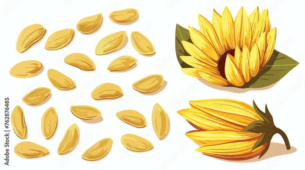 Whole and peeled sunflower seeds vector illustratio
