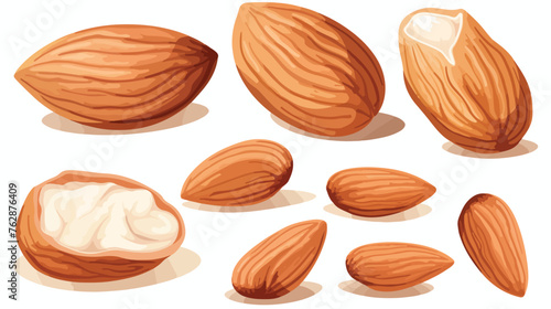 Whole and cut almond nuts vector illustration isola photo