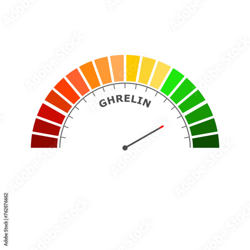 Ghrelin good level on measure scale. Instrument scale with arrow. Colorful infographic element. The hunger hormone, also known as lenomorelin, a peptide hormone produced in the gastrointestinal tract