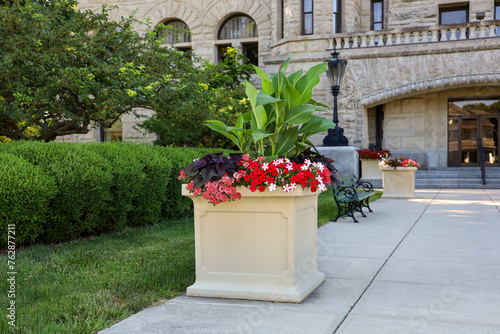 Large planter with beautiful mixed flowering plants including verbena, petunias and pelleted petunias and sidekick black heart plants at the BG Municipal Court.