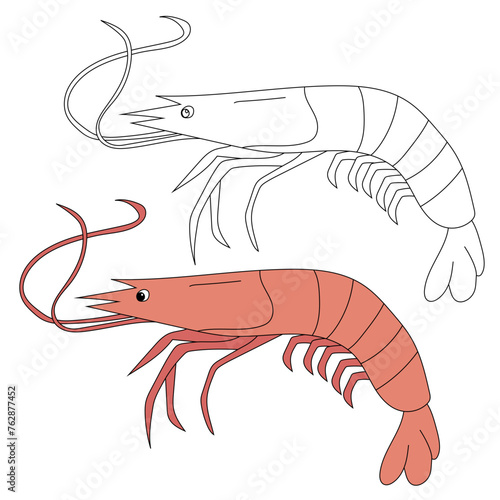 Sea Animal Clipart. Shrimp Clipart Set. Colorful and Outline Shrimps
