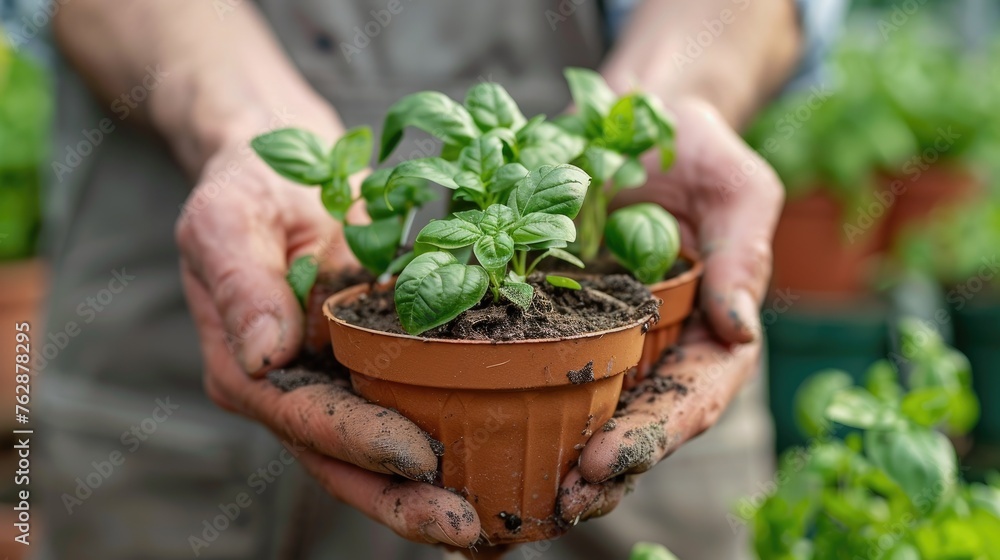 Eco-friendly home gardening tips
