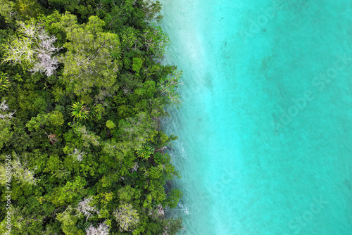 Turquoise waters where the rainforest meets the sea in Raja Ampat photo