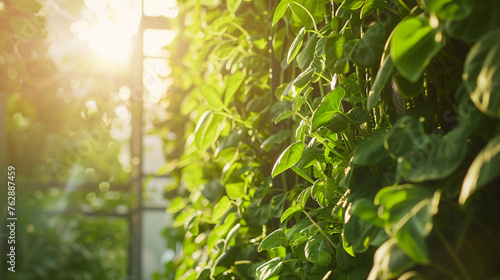 Innovative vertical farm, urban environment, soft morning light, side angle, lush green, high-tech agriculture, futuristic feel