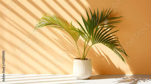 Palm Leaves Against a Sunlit Wall