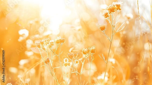 defocused view of dried wild flowers and grass in a meadow in winter or spring r fall in the bright golden rays of the sun with lens flare and highlights on a helios lens blurred backg : Generative AI