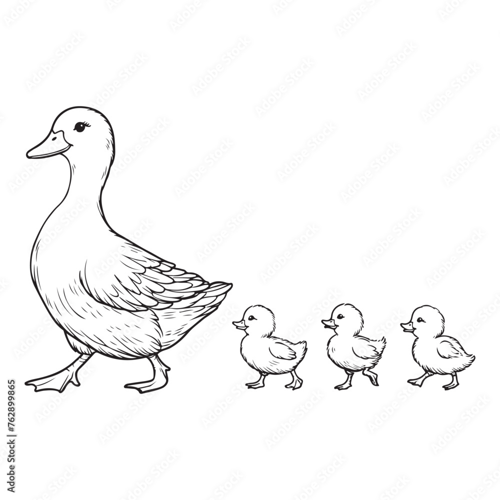 Line art of ducklings following mother duck vector Line art of ducklings following mother duck vector