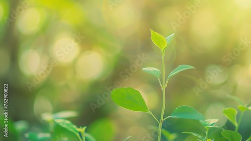 Seedlings on natural blurred background Return on investment concept and saving moneySeedling on a blurred natural background : Generative AI © Generative AI