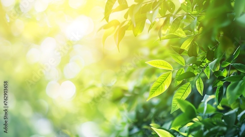 Abstract blur green foliage and tree in jungle with sun light spring summer Farming concept on plant forest and environment day of farmer organic building sunshine on leaf herb lush so   Generative AI