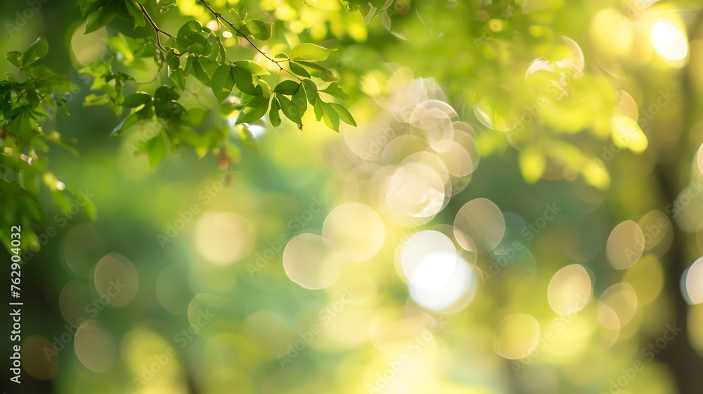 Fototapeta premium background blur natural and light background in the park : Generative AI