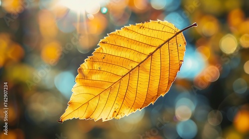 Autumn yellow leaf closeup Bright orange tree change Blur bokeh on background Golden color in park Light sunny warm october day Red leaves in garden Sun in blue sky Fall nature woods s   Generative AI