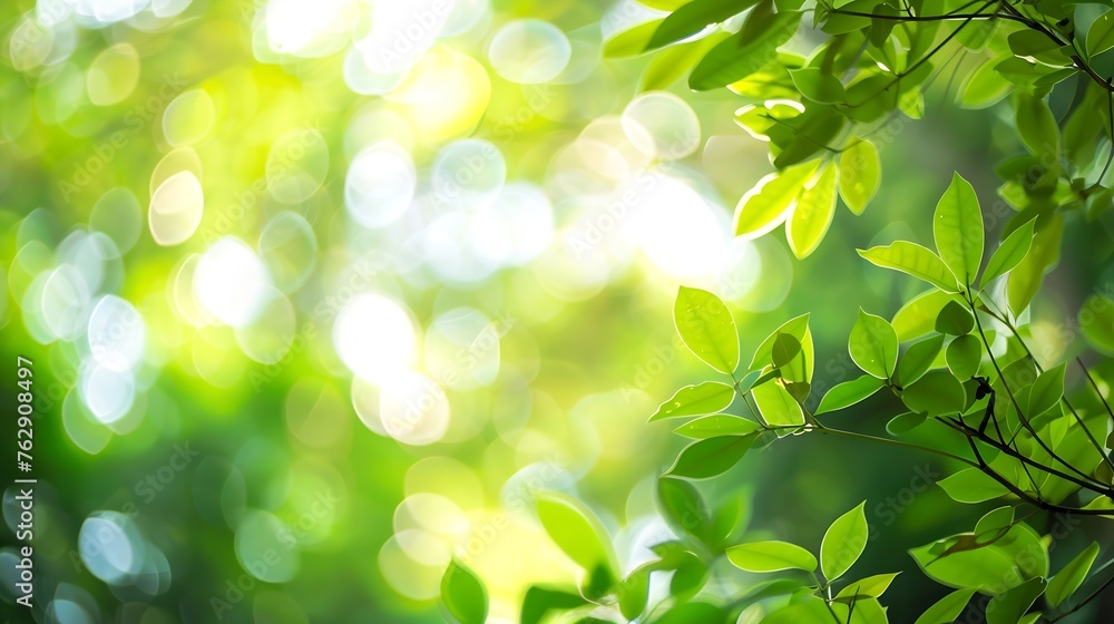 natural green bokeh background : Generative AI natural green bokeh background : Generative AI