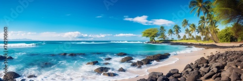 Beach with the sea and palm trees in the background