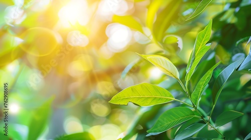 Concept nature view of green leaf on blurred greenery background in garden and sunlight with copy space using as background natural green plants landscape ecology fresh wallpaper : Generative AI