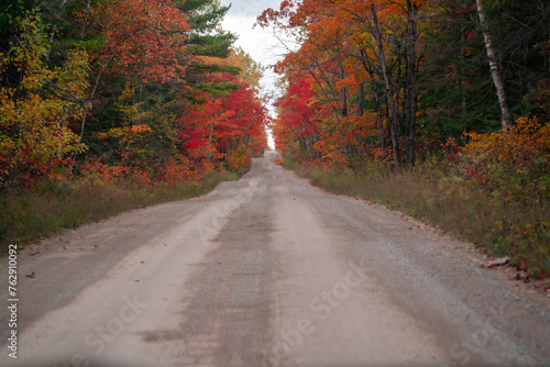 Road in Autumn