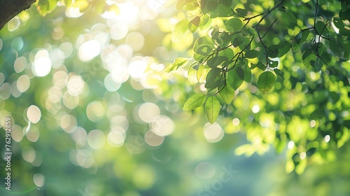 Blur park garden tree in nature background blurry green bokeh light outdoor in summer background : Generative AI