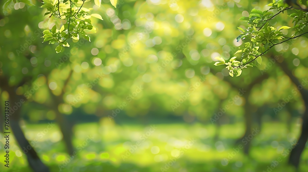 Blurred garden in spring nature outdoor background Blur green tree park in summer background banner Defocus spring foliage countryside with abstrct bokeh light wallpaper poster : Generative AI Blurred garden in spring nature outdoor background Blur green tree park in summer background banner Defocus spring foliage countryside with abstrct bokeh light wallpaper poster : Generative AI