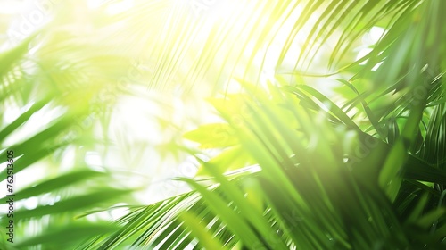 Coconut tree leaves blur in spring for nature background   Generative AI