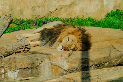 千葉市動物公園の動物たち