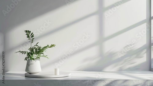 Background White Shadow Light Plant Room 3d Counter Display Sunlight Sun on Kitchen Bar Wall Podium Product Bg Elegant Abstract Mockup Space Backdrop Platform Gray Workspace Grey Empty : Generative AI © Generative AI