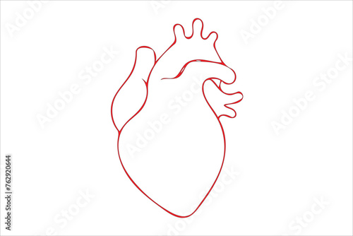 Human heart vector