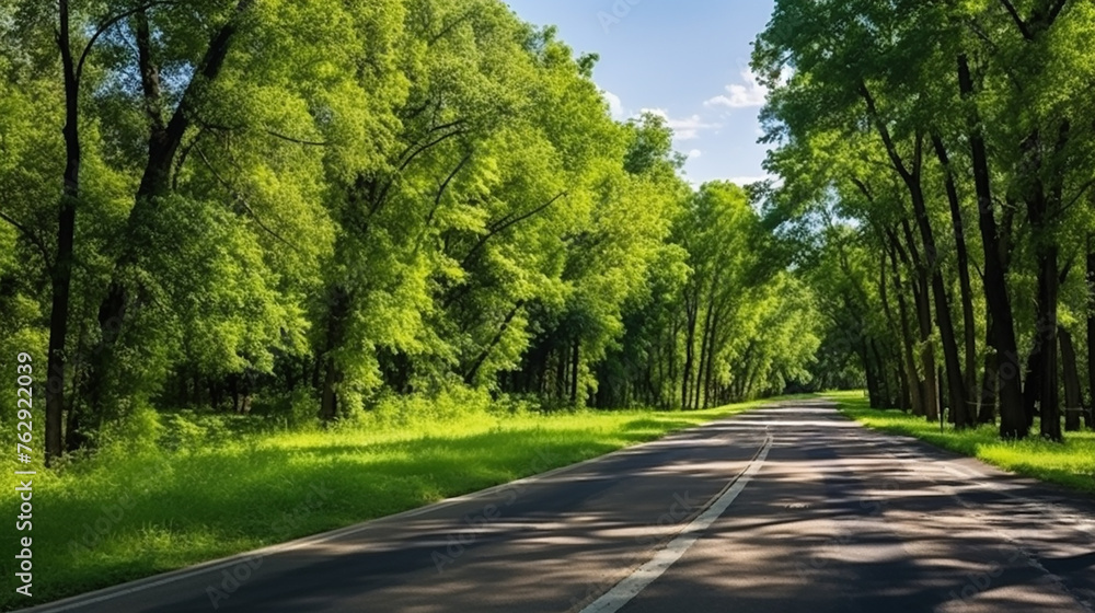 country asphalt road and green woods nature landscape