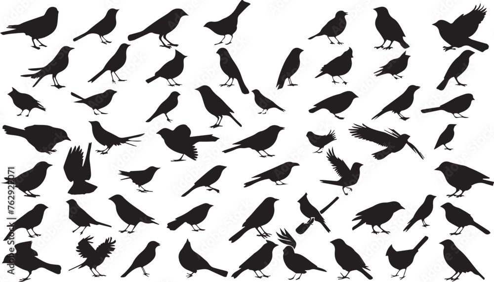 Birds Flying Silhouettes white background Birds Flying Silhouettes white background