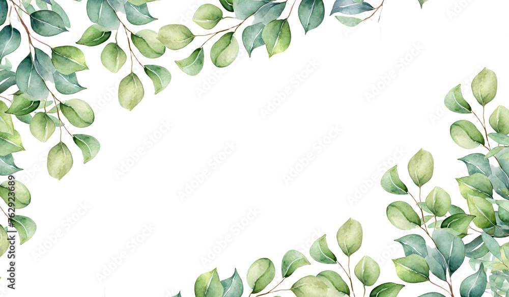 Watercolor  floral frame eucalyptus illustration.PNG Corner border. 