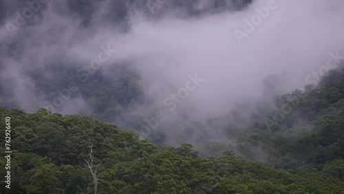 View of Lamington National Park under cloud and rain from Numinbah Valley, Gold Coast Hinterland, Australia. photo