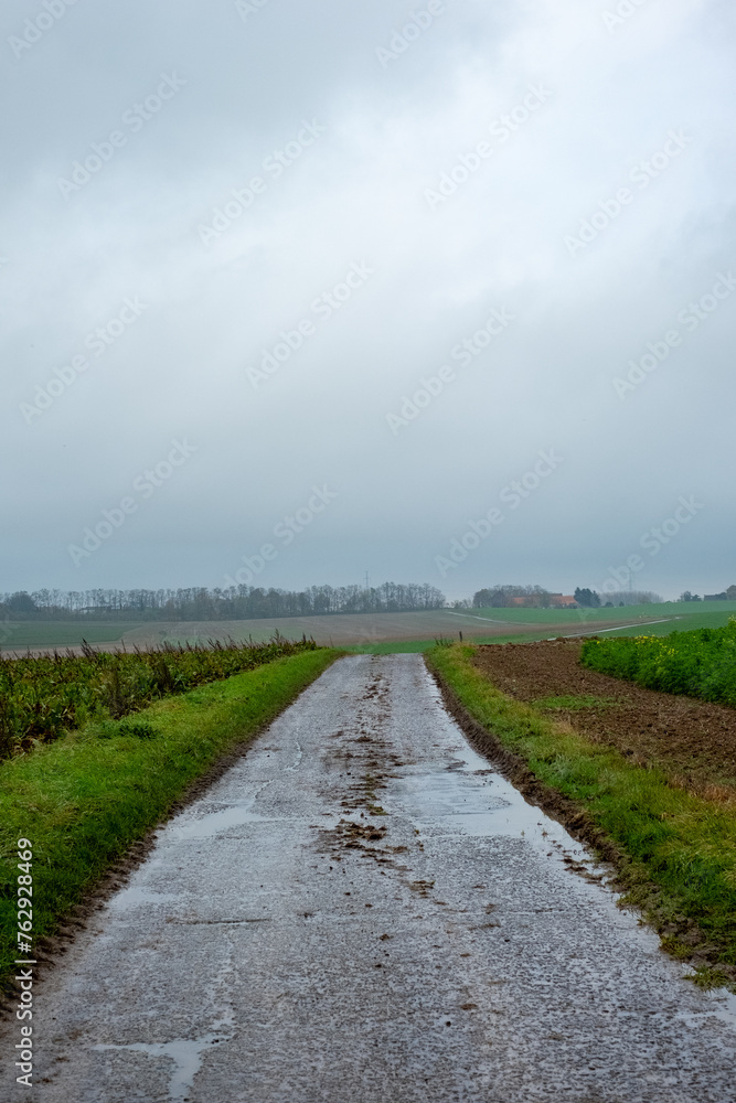 The image depicts a desolate country road stretching into the distance on a rainy day. The gray sky hangs heavy with clouds, casting a somber mood over the scene. Puddles of water accumulated on the