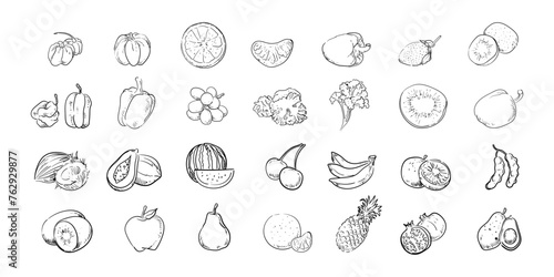 Set of different sketch fruits hand drawn vector illustration. doodle outline isolated on white background collection.