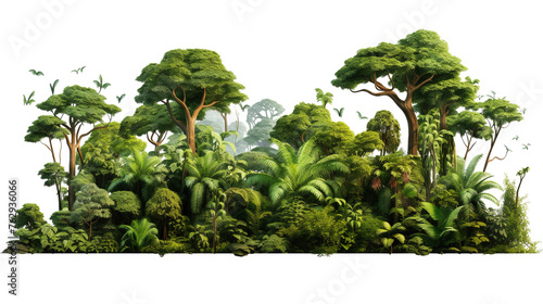Fototapeta Naklejka Na Ścianę i Meble -  a photo of a jungle image with leaves and trees isolated, png image