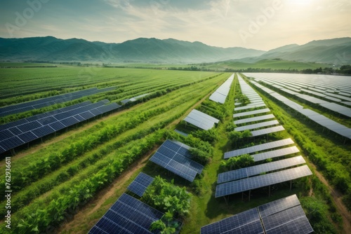 solar panel generation with green farming. Alternative source of electricity. Solar farm. photo