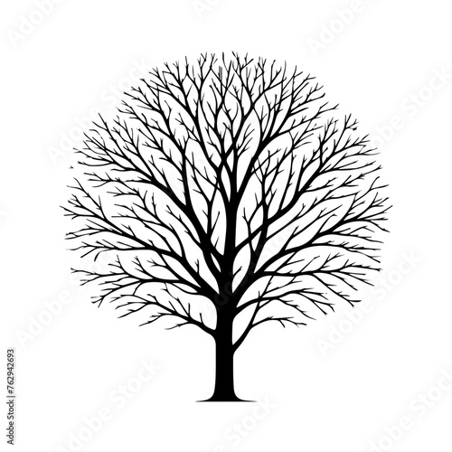 silhouette of a leafless black tree