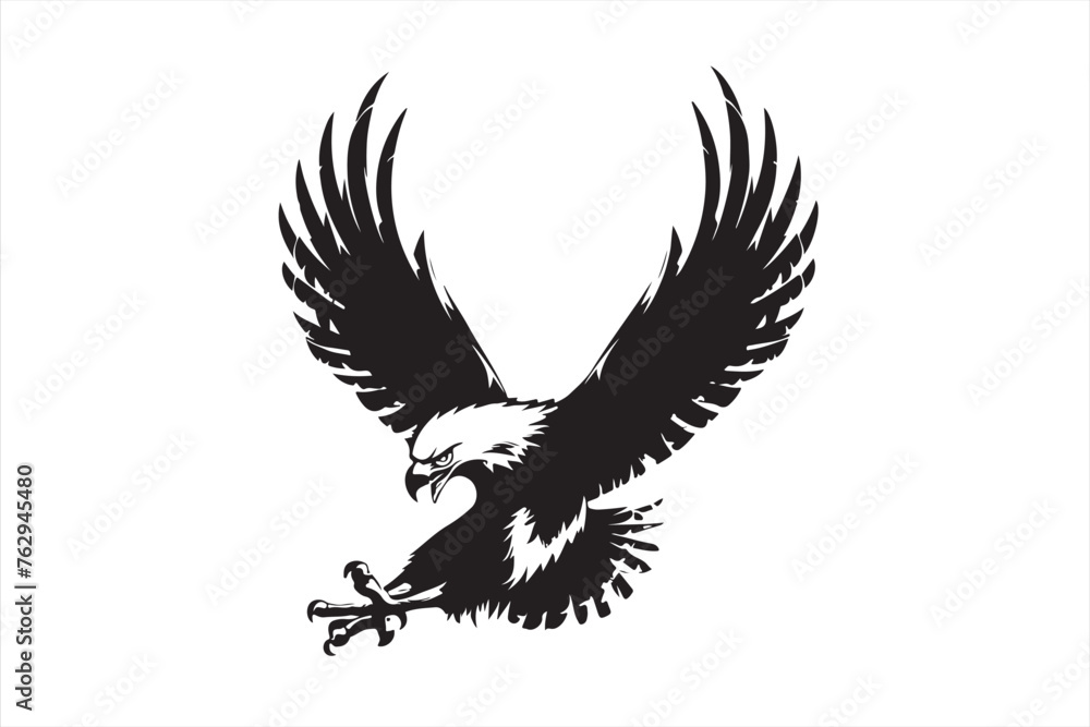 Obraz premium eagle with wings