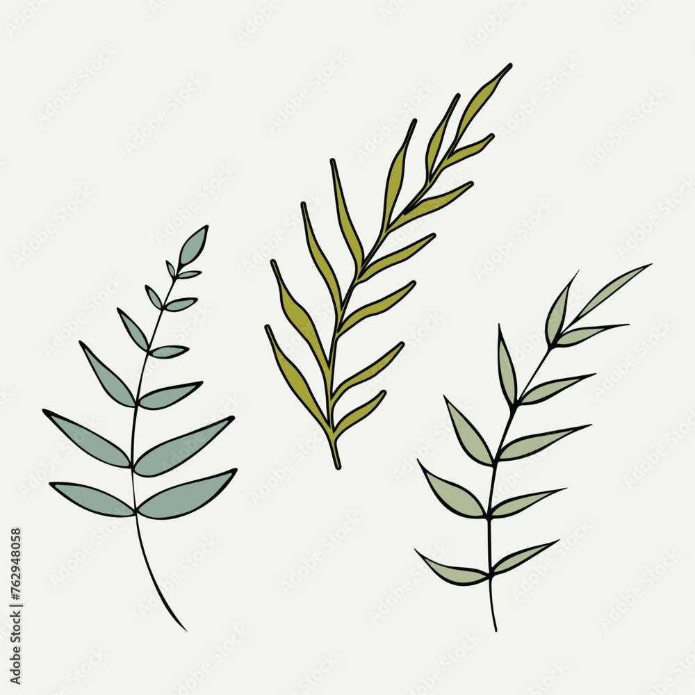 Fototapeta premium Vector illustration of a set of wild plants, branches on a pale green background.