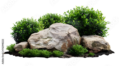 cutout rock surrounded by greenery. isolated on white background. png