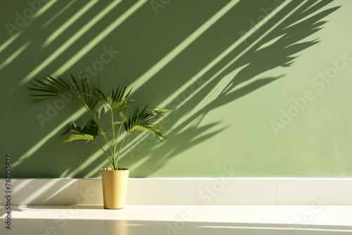 A small plant in a pot sits on a white countertop in front of a green wall