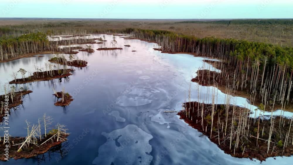 aerial view of a frozen swamp, with bare trees lining the edges and a covering of snow across the ice aerial view of a frozen swamp, with bare trees lining the edges and a covering of snow across the ice