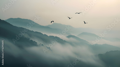 Foggy morning in the mountains with flying birds over the top hills