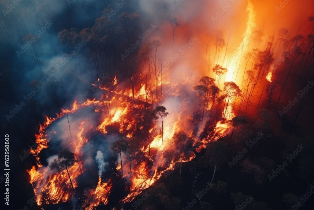 Devastating Wildfire Engulfing Forest at Night