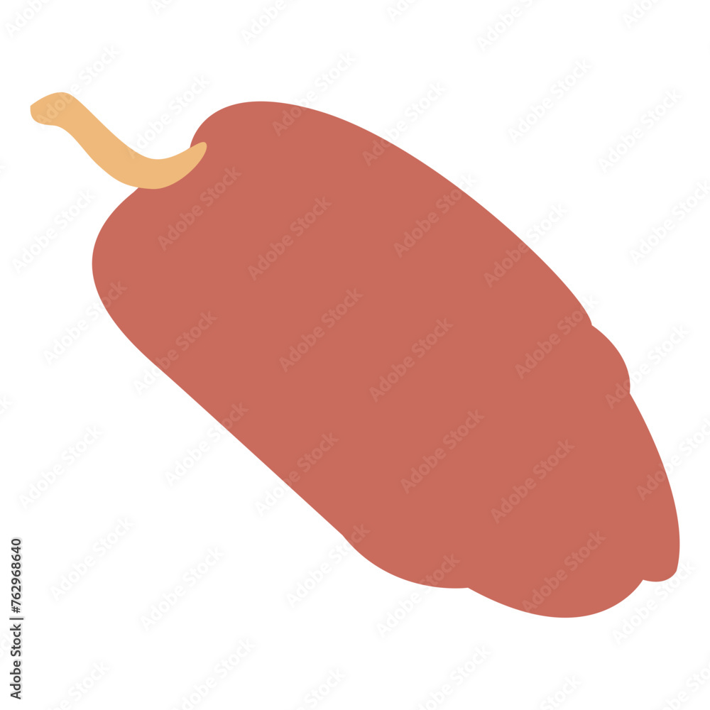 Date Palm Illustration Date Palm Illustration