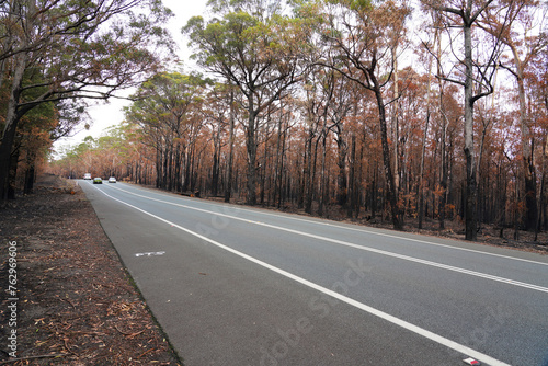 king's Highway, Batemans Bay, NSW Australia After the 2019-2020 Australian Black Summer Bushfire,  photo