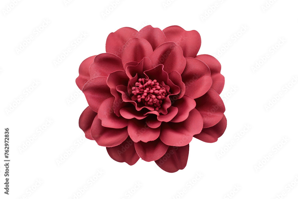 Large Red Flower on a White Background. On a White or Clear Surface PNG Transparent Background.. Large Red Flower on a White Background. On a White or Clear Surface PNG Transparent Background..