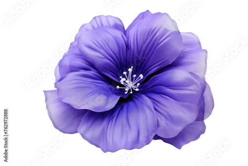 Purple Flower With White Center on White Background. On a White or Clear Surface PNG Transparent Background..