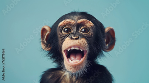 Adorable young chimpanzee displaying a shocked expression on a plain blue background. © AI Art Factory