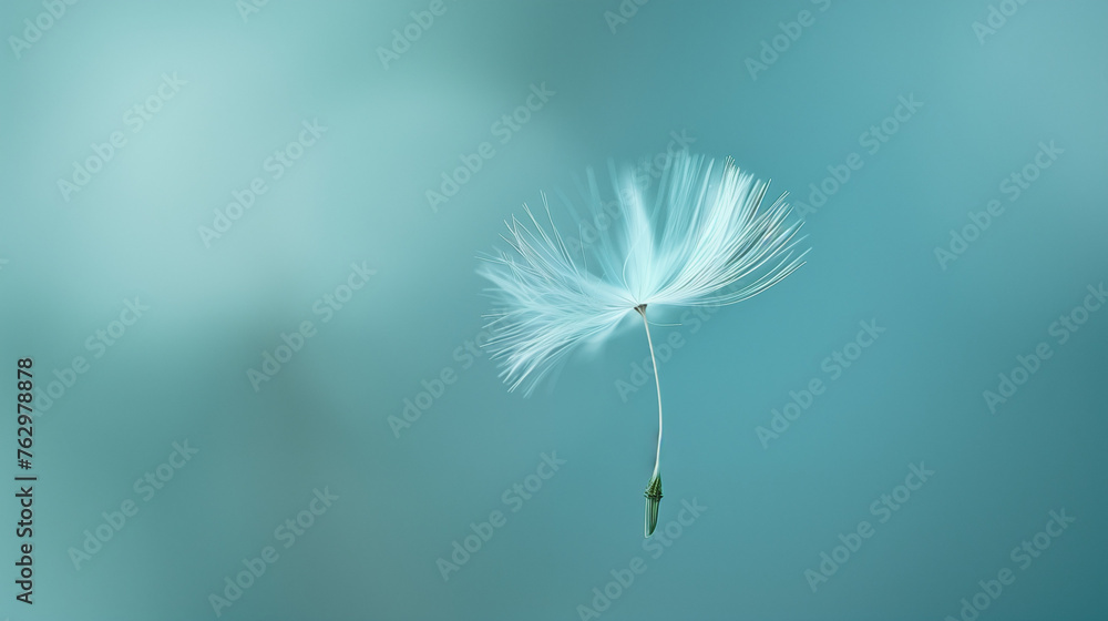 Fototapeta premium dandelion seed detaching and floating away against a soft blue background
