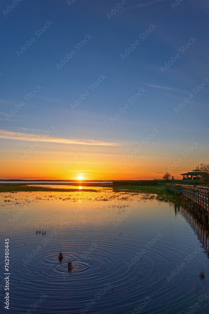 Colorful sunset by a lake with wild ducks in the water